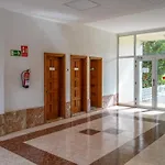 Apartman 732 New Sea View Americas +wifi *